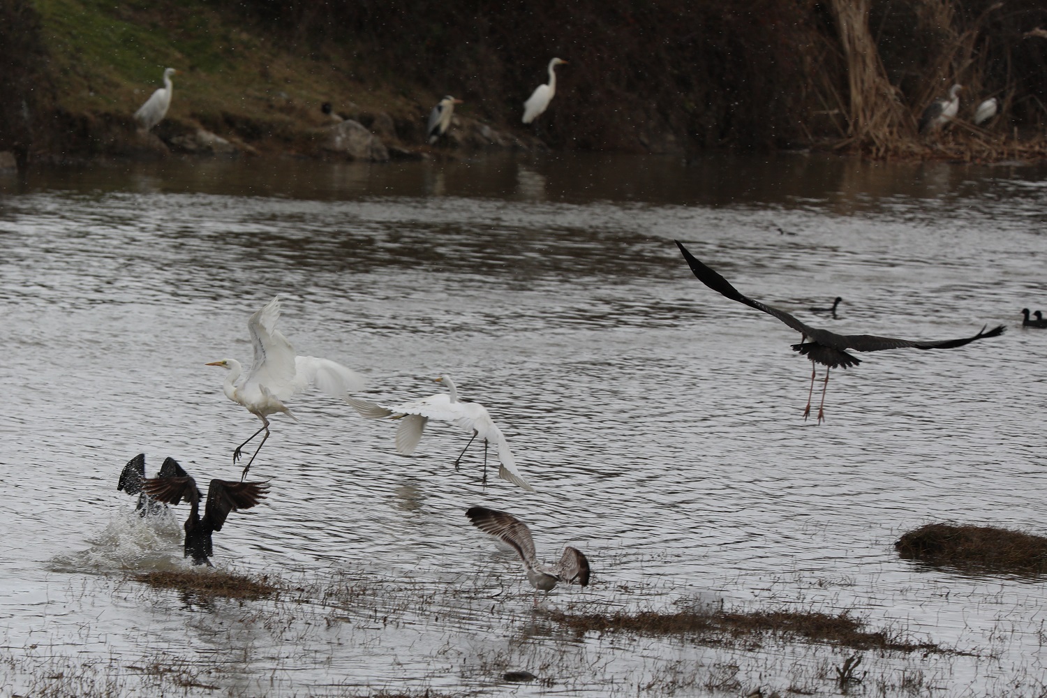 KUŞ CENNETİ’NDE SONBAHAR GÖZ KAMAŞTIRIYOR