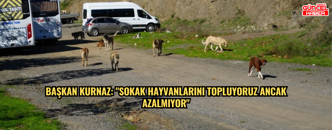 Başkan Kurnaz: 